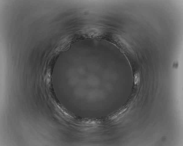 X0000092061011200709191137