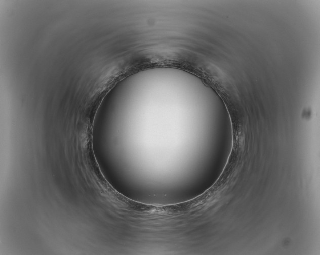 X0000092061012200709191137