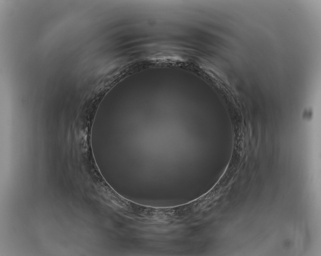 X0000092061013200709191137