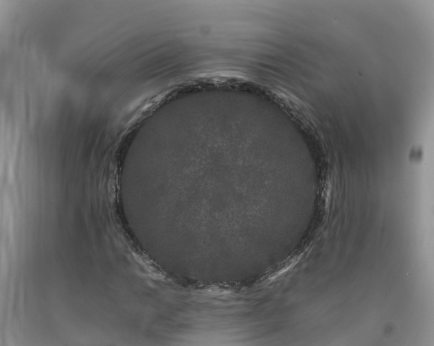 X0000092061014200709191137