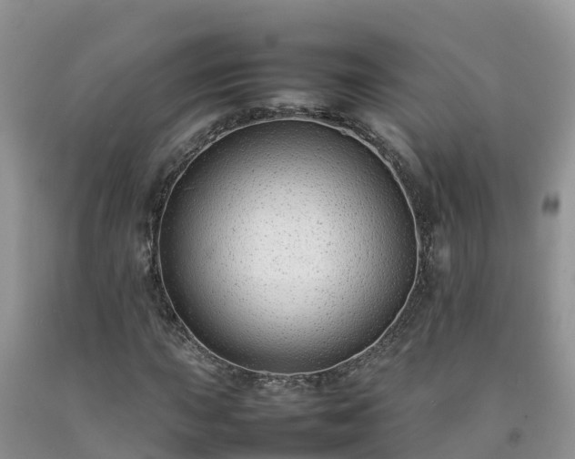 X0000092061015200709191137