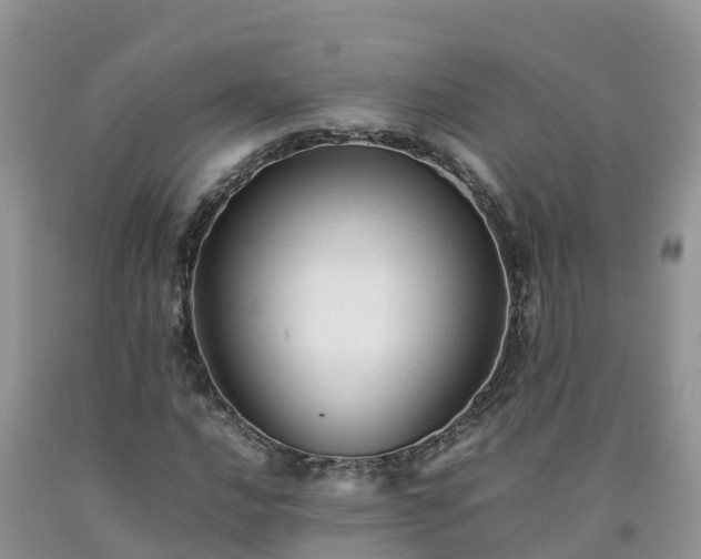 X0000092061016200709191137