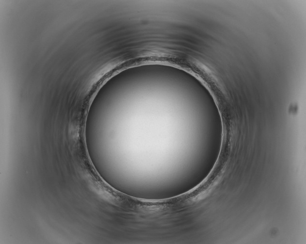 X0000092061017200709191137