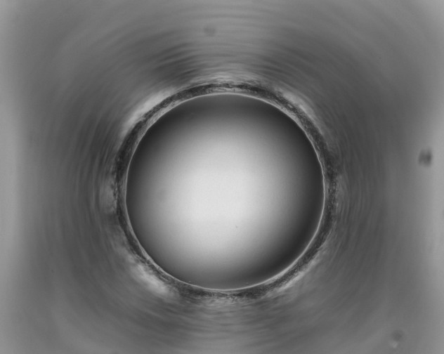 X0000092061018200709191137