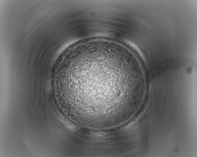 X0000092061019200709191137