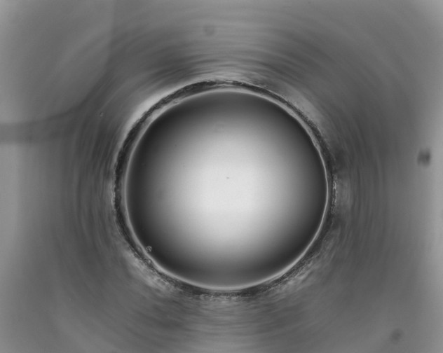 X0000092061020200709191137