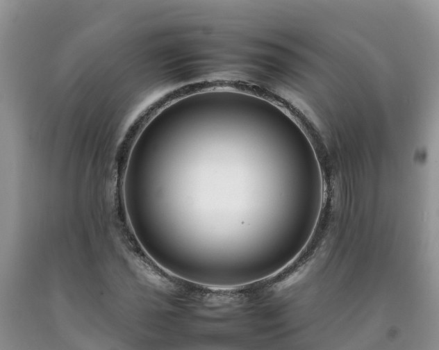 X0000092061021200709191137