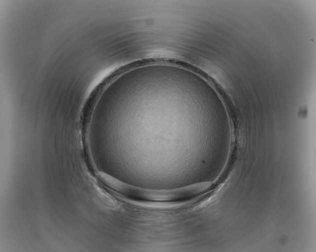 X0000092061022200709191137