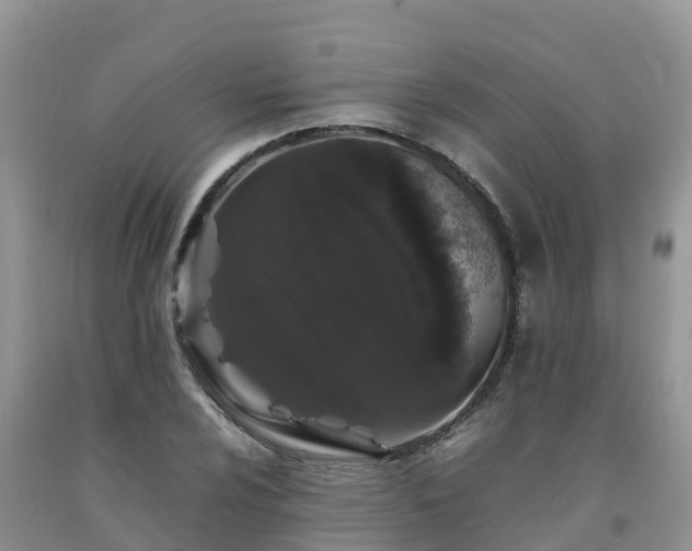 X0000092061024200709191137