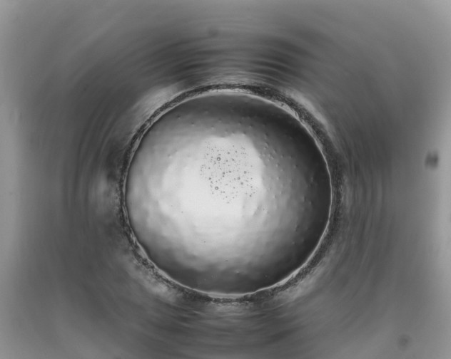 X0000092061025200709191137