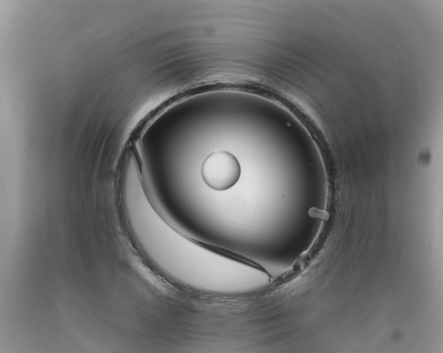 X0000092061026200709191137