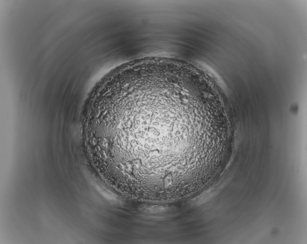 X0000092061027200709191137