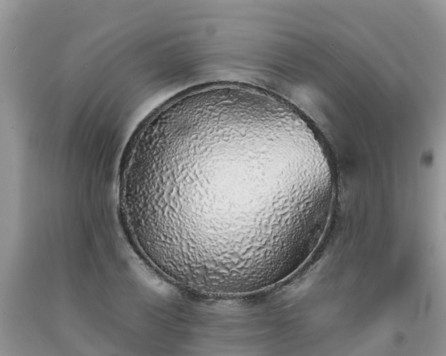 X0000092061028200709191137