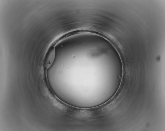 X0000092061029200709191137