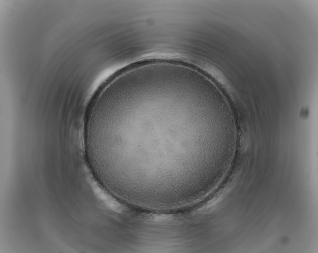 X0000092061030200709191137