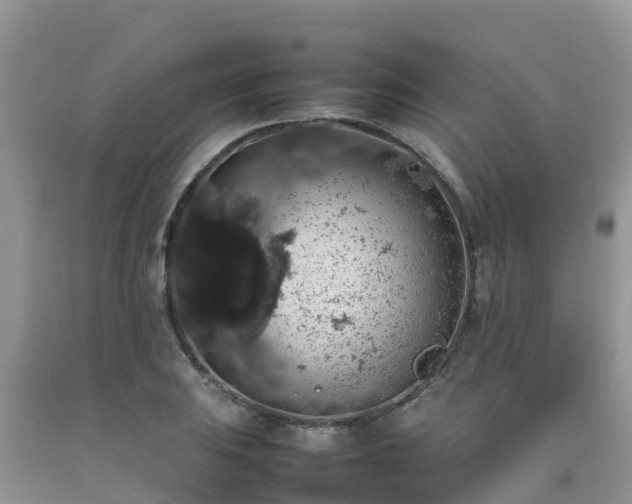 X0000092061031200709191137