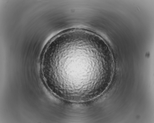 X0000092061032200709191137