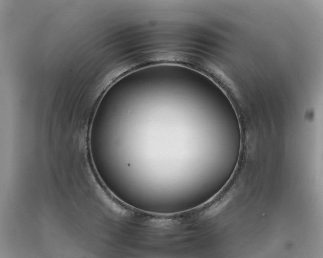 X0000092061033200709191137