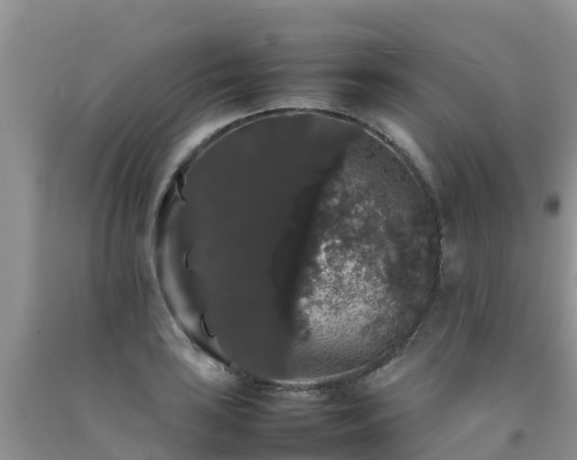 X0000092061035200709191137