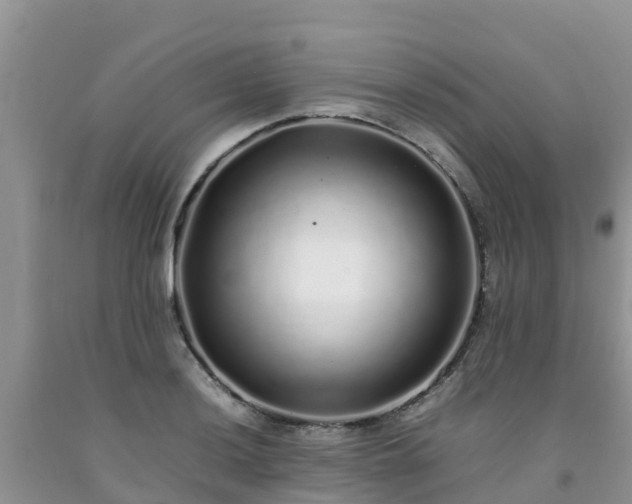 X0000092061036200709191137