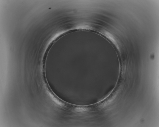 X0000092061037200709191137