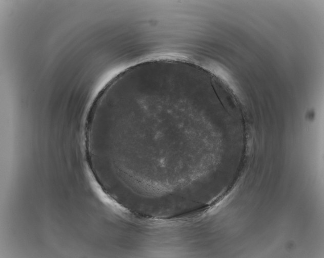 X0000092061038200709191137