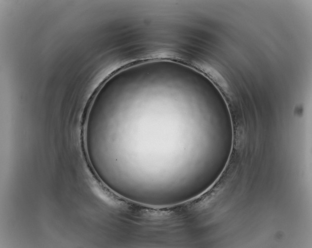 X0000092061039200709191137