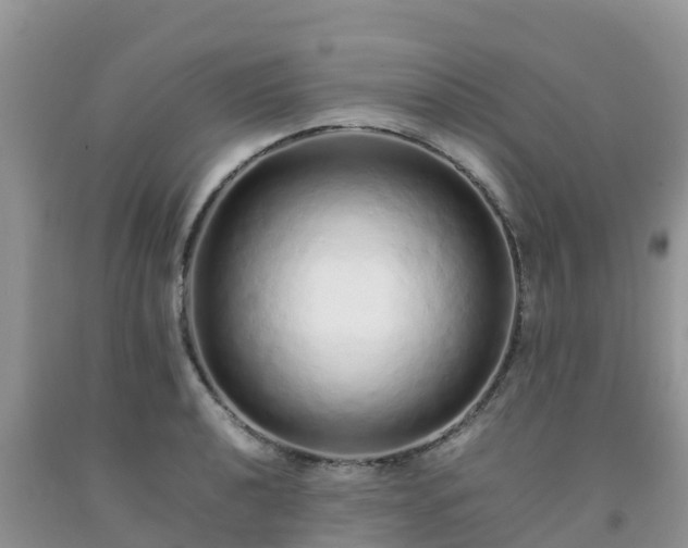 X0000092061040200709191137