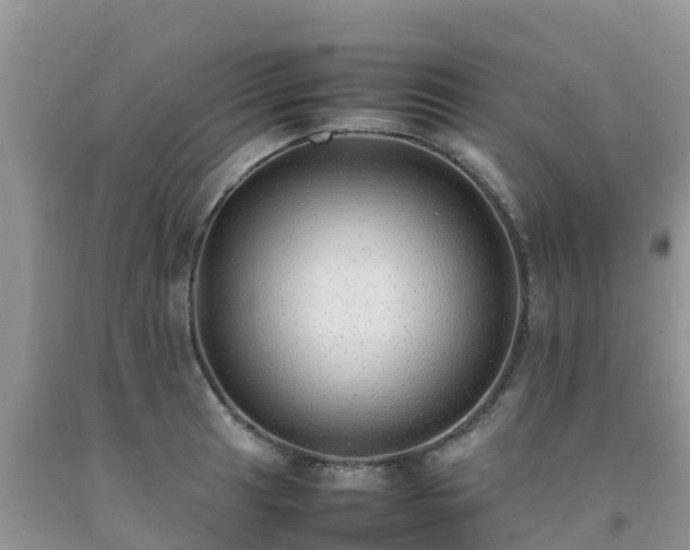 X0000092061041200709191137