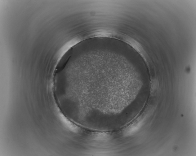 X0000092061042200709191137