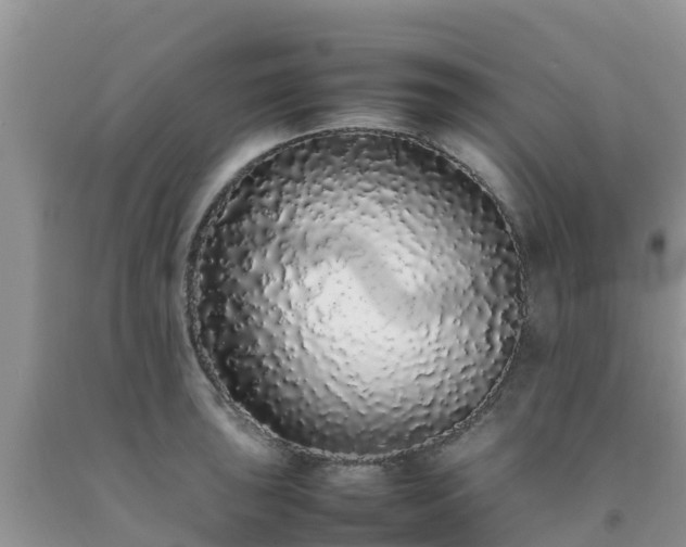 X0000092061043200709191137