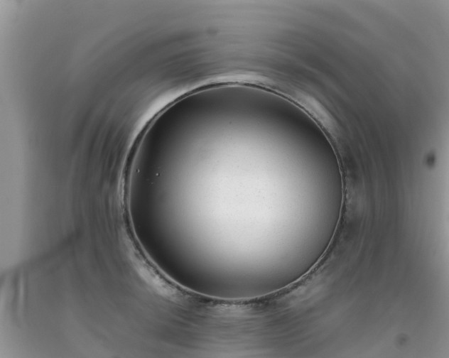 X0000092061044200709191137