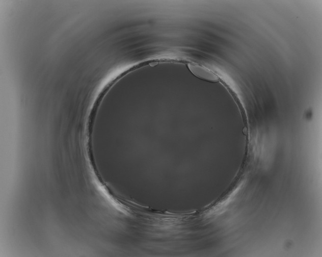 X0000092061045200709191137