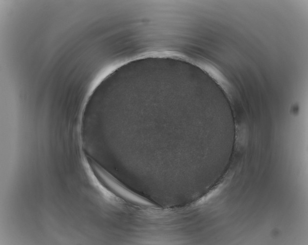 X0000092061046200709191137