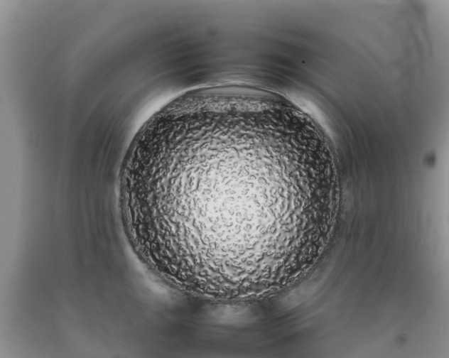 X0000092061047200709191137