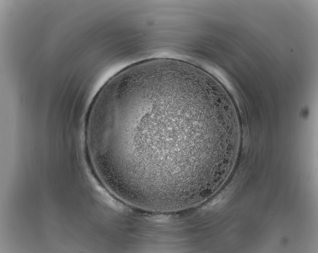 X0000092061048200709191137