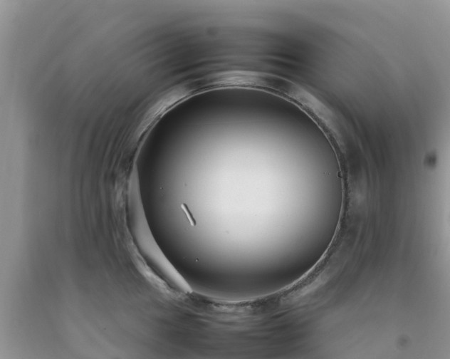 X0000092061049200709191137