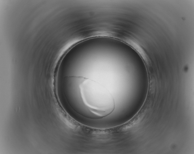 X0000092061051200709191137