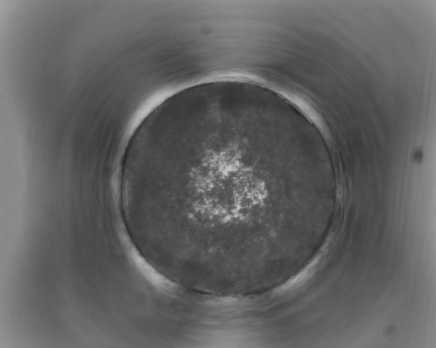 X0000092061054200709191137