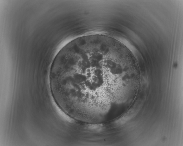 X0000092061055200709191137