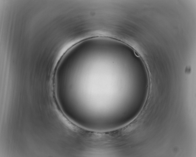 X0000092061056200709191137