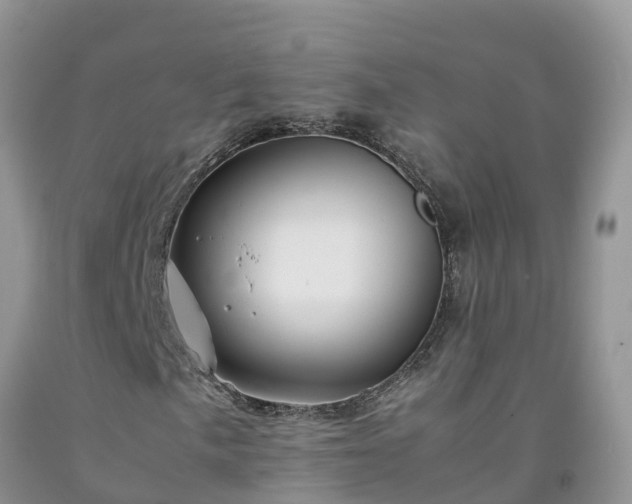 X0000092061057200709191137