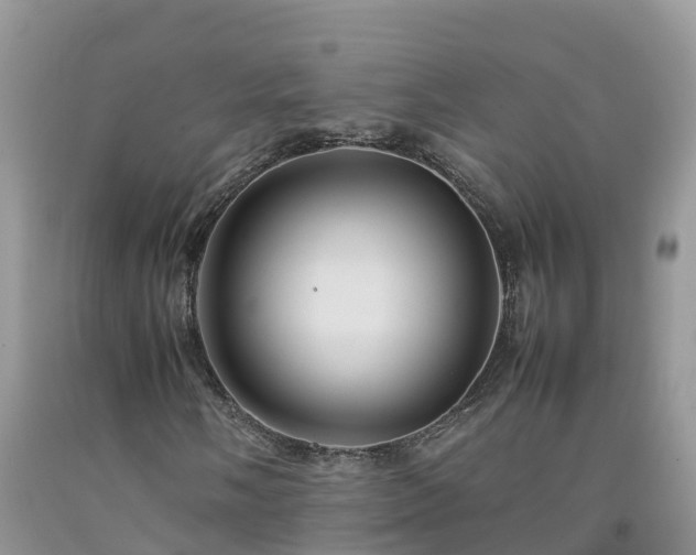 X0000092061058200709191137