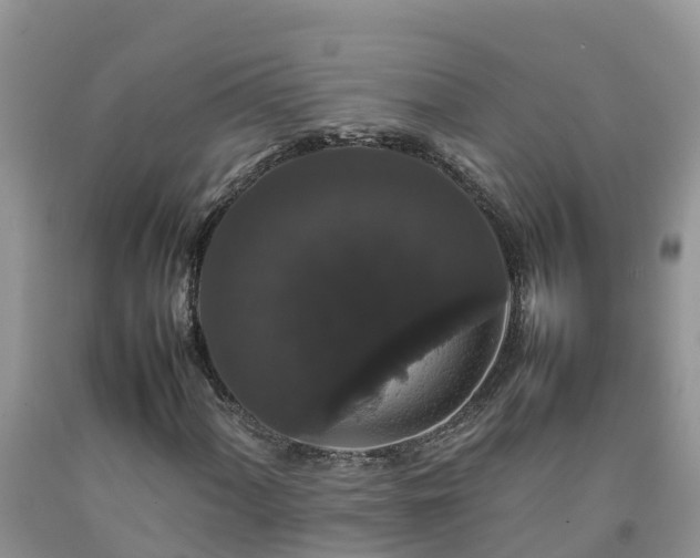 X0000092061060200709191136