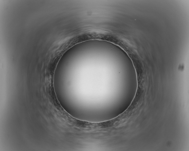 X0000092061061200709191136