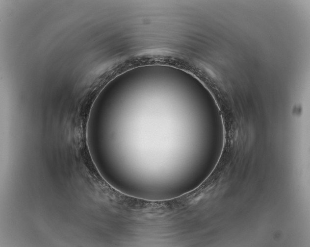 X0000092061062200709191136