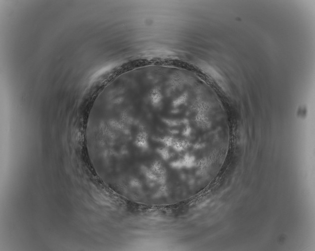 X0000092061063200709191136