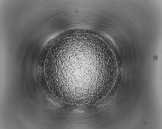 X0000092061064200709191136