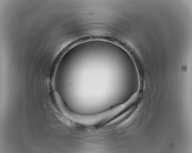 X0000092061065200709191136