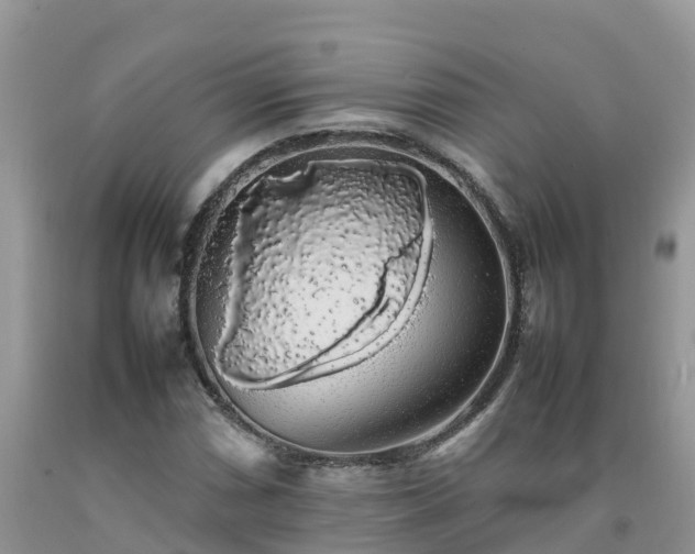 X0000092061066200709191136